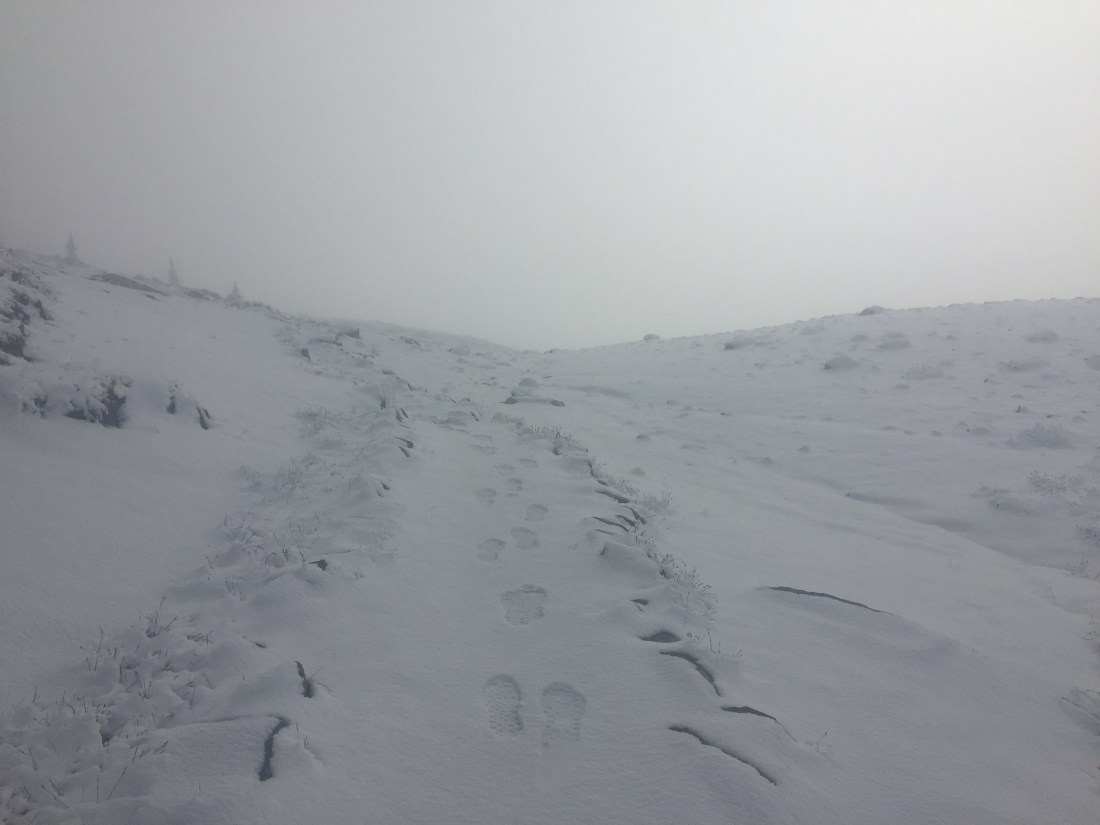 9FA48CCD-D19F-4FE8-82A9-B5D2AF1A6893