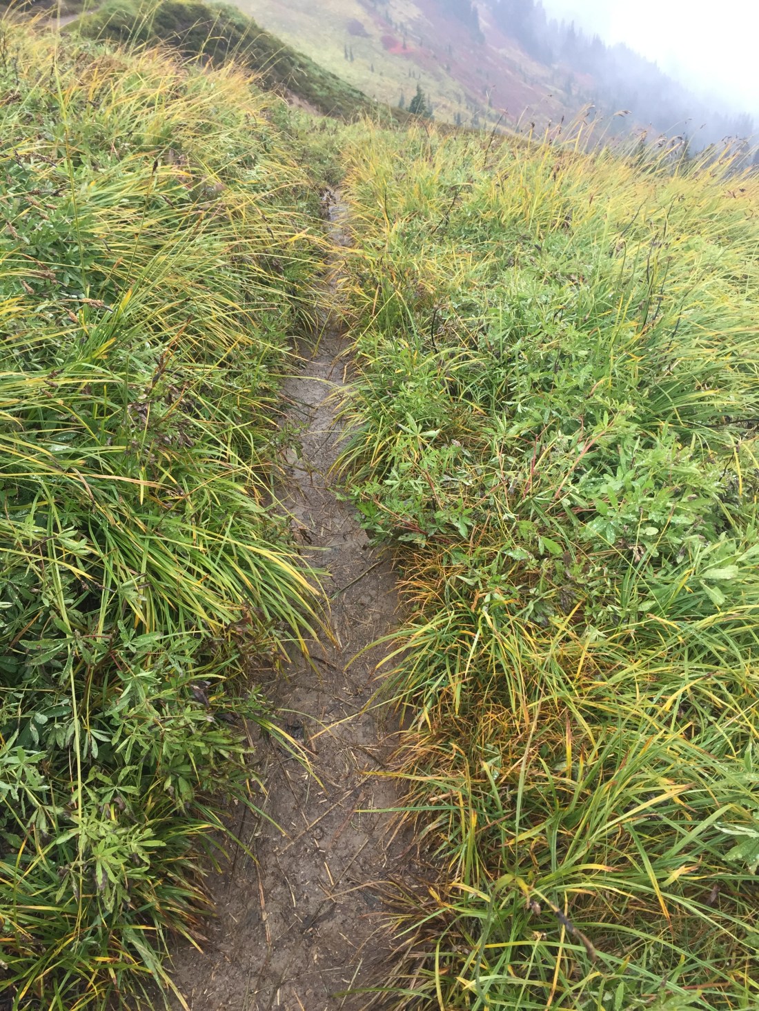 D900ED29-1D9B-47D4-8A54-4EA6F0200F46