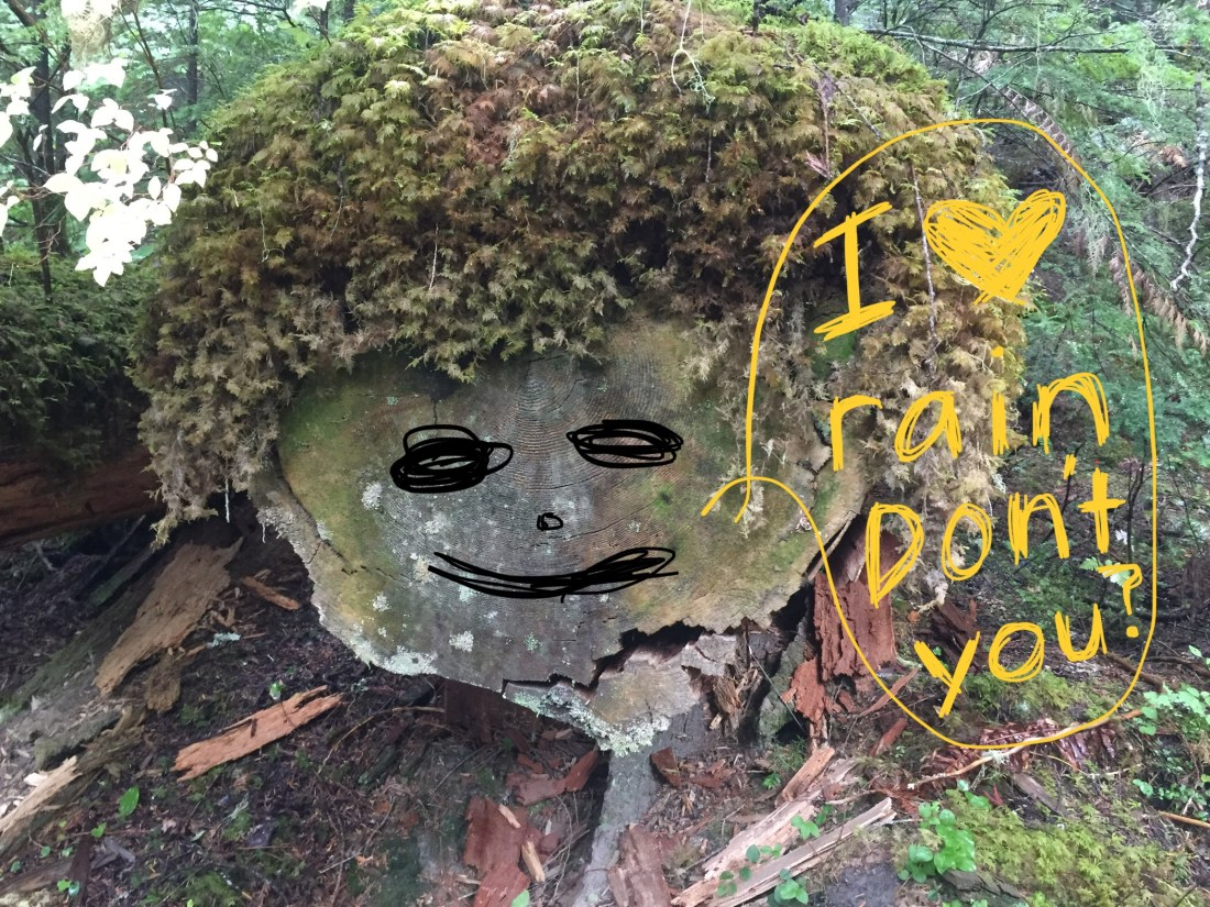 F35F64FB-1E6C-4B7D-B15B-5D4DA0C2FE24